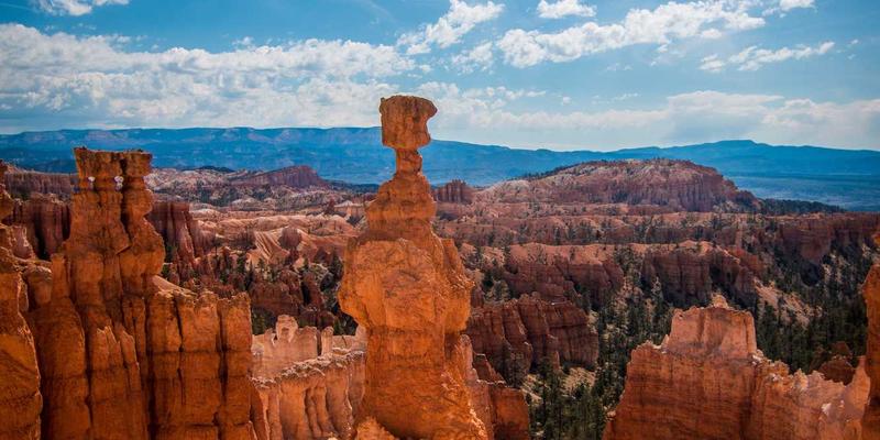 健康生活新维度:运动健身与心理健康的双向赋能