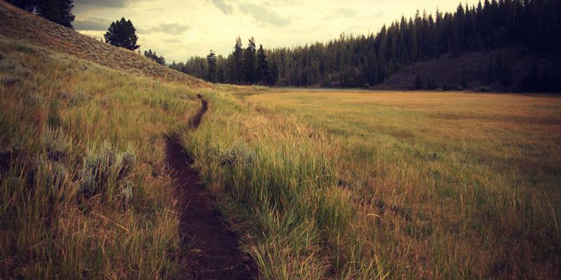 健康资讯59：心理养生双轨并行，打造现代人的健康生活方程式