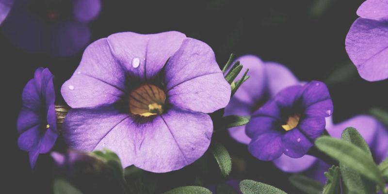 健康资讯与养生知识：科学运动健身的完整指南