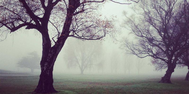 健康资讯：更年期女性如何通过激素平衡与自然疗法重获健康生活与心理健康