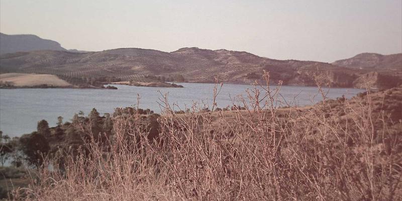 免疫系统增强：从饮食健康到日常习惯的科学养生建议