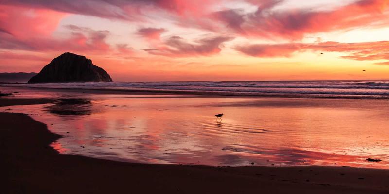 免疫系统强化指南：整合心理健康、科学保健与运动健身的抵抗力提升方案