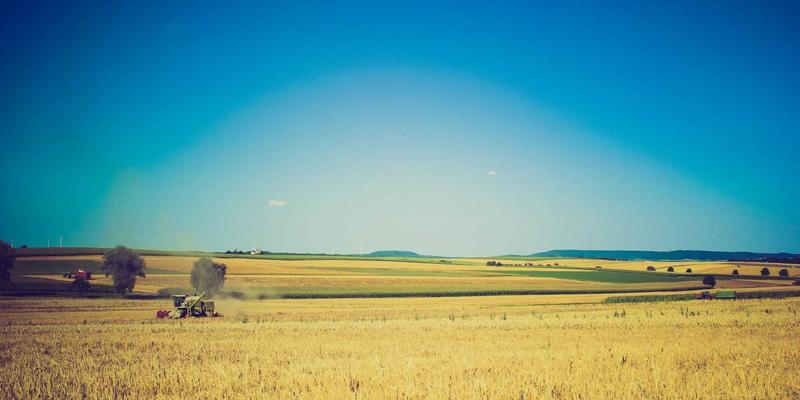 养生建议与健康资讯：科学养生知识助你构建健康生活体系