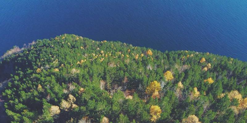 养生知识全解析：三大健康资讯助你科学保健