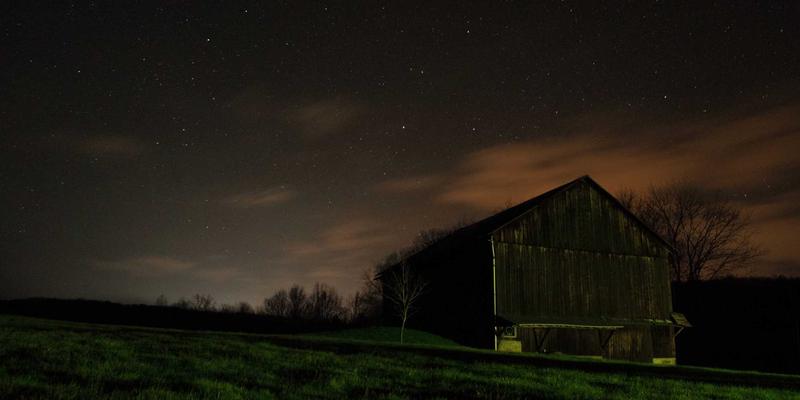 养生知识融入日常：饮食健康与科学保健的实践指南