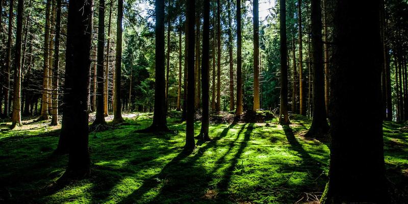 告别喷嚏不断：过敏性鼻炎的长期管理与身心保健指南