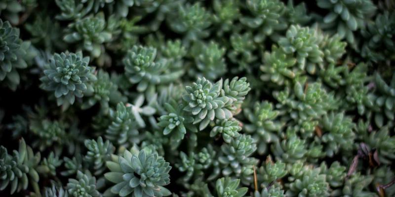 呼吸健康新认知：从空气污染防护到呼吸肌训练的全方位保健指南