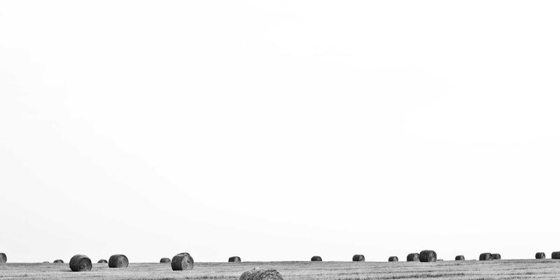 女性更年期健康导航：科学应对激素变化，自然调理与医学支持全攻略