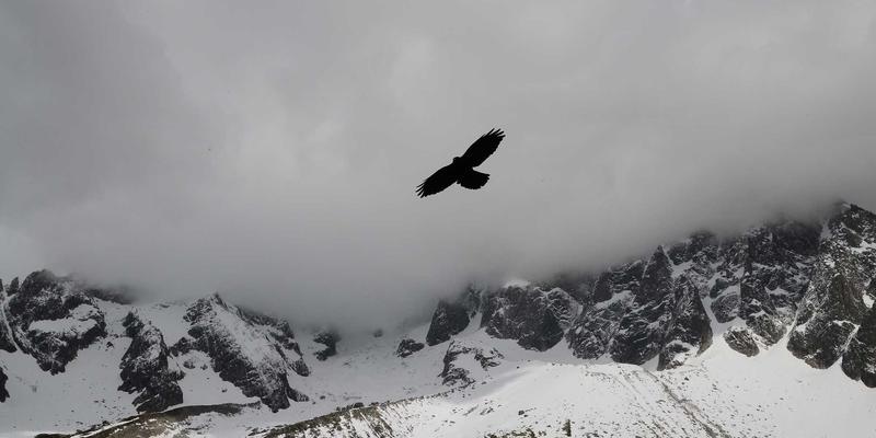 守护挺拔未来：儿童青少年脊柱侧弯的早期筛查与家庭矫正全攻略