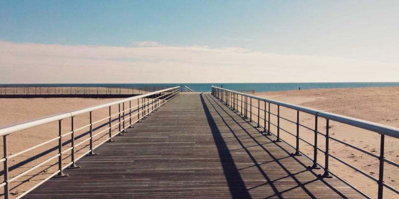 守护肌肉力量：中老年少肌症的蛋白质饮食与抗阻训练全攻略