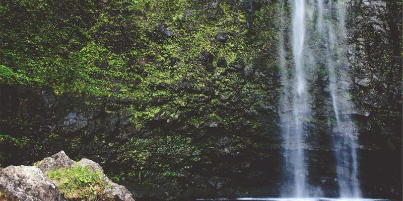 春季养生新思路：根据个人体质定制食谱，兼顾心理健康与身体保健