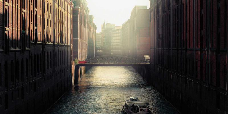 植物化学物的抗癌潜力：解锁日常食物中的天然抗癌成分，打造健康生活