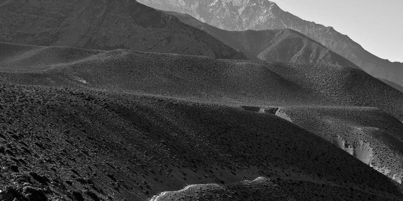 甲状腺功能失调的早期信号与日常调理：从饮食到情绪管理的全面养生建议