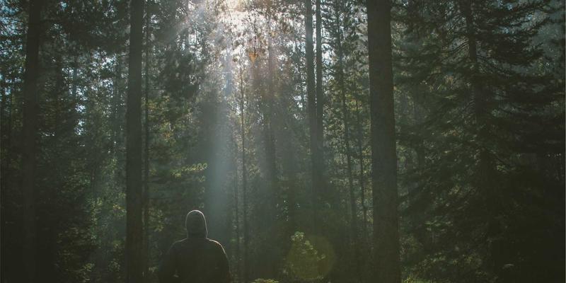 甲状腺结节良性患者必读：科学饮食与健康生活指南，助你拥抱运动健身