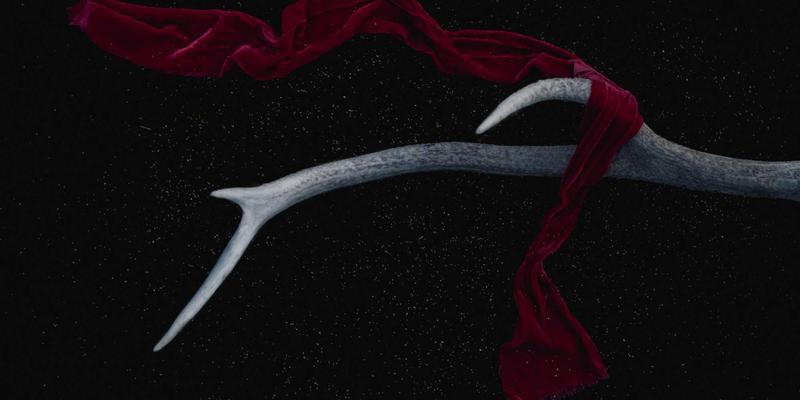 警惕身体发出的警报：甲状腺功能异常的早期信号与全面调理方案