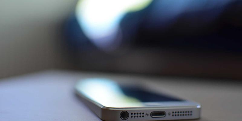 饮食健康新主张：科学保健与日常养生的智慧融合