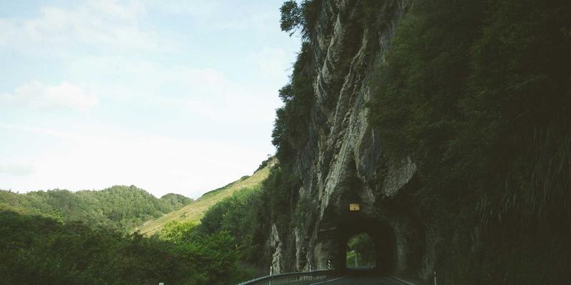 饮食健康新视角：现代饮食如何重塑你的肠道菌群与整体健康