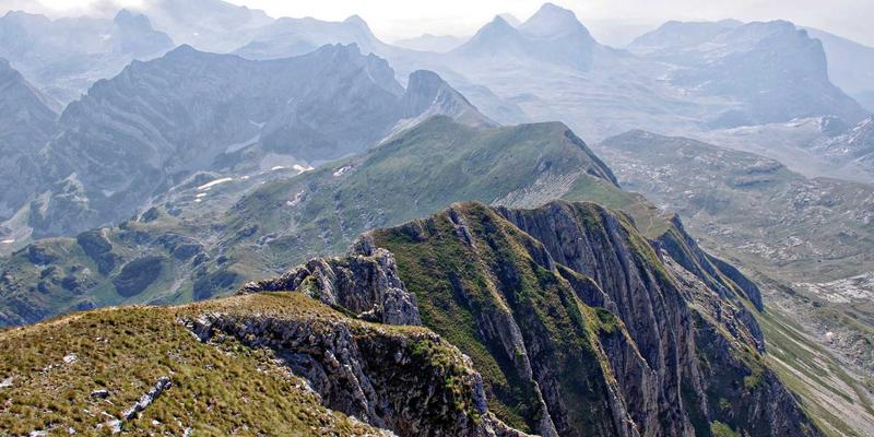 饮食健康：构筑健康生活的三大支柱与日常保健实践