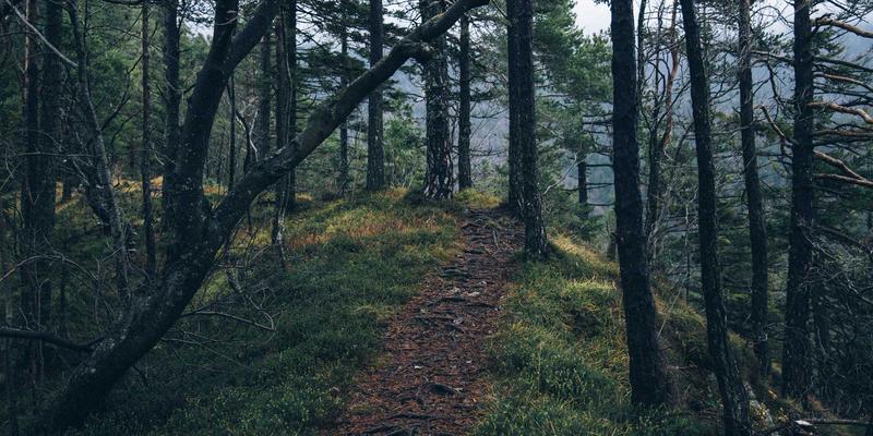 骨骼健康不止于补钙：维生素D、K2及负重运动协同作用详解